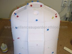 Engine cowl (45)